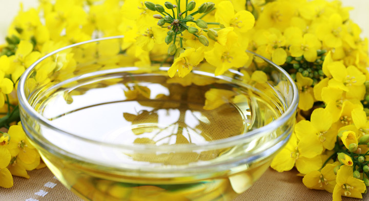aceite canola 2